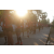 Raid Amazones Sri Lanka 2019 - J6 Trail