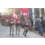 Team 120 / Raid Amazones Sri Lanka 2019 - J6 Trail