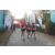 Team 114 / Raid Amazones Sri Lanka 2019 - J6 Trail