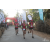 Team 105 / Raid Amazones Sri Lanka 2019 - J6 Trail