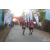 Team 34 / Raid Amazones Sri Lanka 2019 - J6 Trail