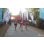 Team 123 / Raid Amazones Sri Lanka 2019 - J6 Trail