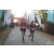 Team 14 / Raid Amazones Sri Lanka 2019 - J6 Trail