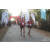 Team 01 / Raid Amazones Sri Lanka 2019 - J6 Trail