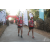 Team 15 / Raid Amazones Sri Lanka 2019 - J6 Trail