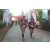Team 29 / Raid Amazones Sri Lanka 2019 - J6 Trail