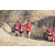 Team 38 / Raid Amazones Sri Lanka 2019 - J6 Trail