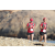 Team 135 / Raid Amazones Sri Lanka 2019 - J6 Trail