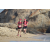 Team 09 / Raid Amazones Sri Lanka 2019 - J6 Trail