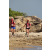 Team 50 / Raid Amazones Sri Lanka 2019 - J6 Trail