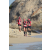 Team 17 / Raid Amazones Sri Lanka 2019 - J6 Trail