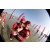 Team 25 / Raid Amazones Sri Lanka 2019 - J6 Trail