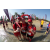 Team 123 / Raid Amazones Sri Lanka 2019 - J6 Trail