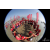 Raid Amazones Sri Lanka 2019 - J6 Trail