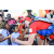Team 06 / Raid Amazones Sri Lanka 2019 - J6 Trail