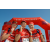 Team 111 / Raid Amazones Sri Lanka 2019 - J6 Trail