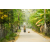 Raid Amazones Sri Lanka 2019 - J6 Trail