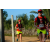Team 33 / Raid Amazones Sri Lanka 2019 - J6 Trail