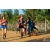 Team 06 / Raid Amazones Sri Lanka 2019 - J6 Trail