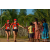 Team 01 / Raid Amazones Sri Lanka 2019 - J6 Trail