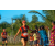 Team 17 / Raid Amazones Sri Lanka 2019 - J6 Trail