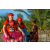 Team 143 / Raid Amazones Sri Lanka 2019 - J6 Trail