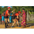 Team 36 / Raid Amazones Sri Lanka 2019 - J6 Trail