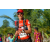 Team 36 / Raid Amazones Sri Lanka 2019 - J6 Trail