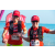 Team 33 / Raid Amazones Sri Lanka 2019 - J6 Trail