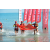 Team 105 / Raid Amazones Sri Lanka 2019 - J6 Trail