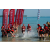 Team 30 / Raid Amazones Sri Lanka 2019 - J6 Trail