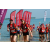 Team 36 / Raid Amazones Sri Lanka 2019 - J6 Trail