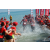 Team 19 / Raid Amazones Sri Lanka 2019 - J6 Trail