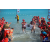 Team 29 / Raid Amazones Sri Lanka 2019 - J6 Trail