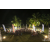 Raid Amazones Sri Lanka 2019 - Podium