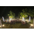 Raid Amazones Sri Lanka 2019 - Podium