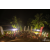 Raid Amazones Sri Lanka 2019 - Podium