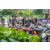 Raid Amazones Vietnam 2019 - Ambiance