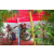 Raid Amazones Vietnam 2019 - Ambiance