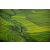 Raid Amazones Vietnam