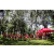 Raid Amazones Vietnam 2019