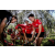 Raid Amazones Vietnam 2019