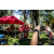 Raid Amazones Vietnam 2019