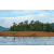 Raid Amazones Vietnam 2019 - J1 Canoe