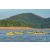 Raid Amazones Vietnam 2019 - J1 Canoe