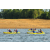 Team 07 / Raid Amazones Vietnam 2019 - J1 Canoe