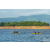 Raid Amazones Vietnam 2019 - J1 Canoe