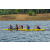 Team 53 / Raid Amazones Vietnam 2019 - J1 Canoe