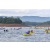 Raid Amazones Vietnam 2019 - J1 Canoe