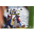 Team 116 / Raid Amazones Vietnam 2019 - J1 Canoe